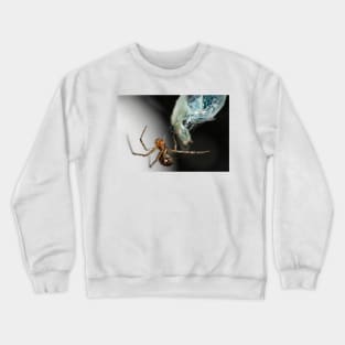 The spider and the fly Crewneck Sweatshirt